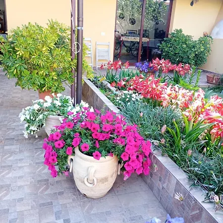 Da Barbarina Sud Sardegna *